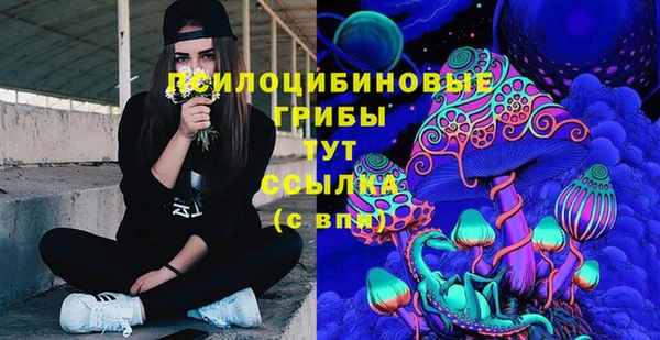 тгк Алексин