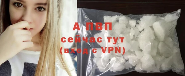тгк Алексин