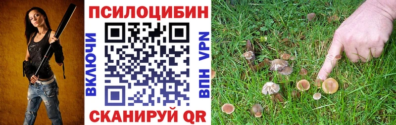 Галлюциногенные грибы GOLDEN TEACHER  Сольвычегодск 